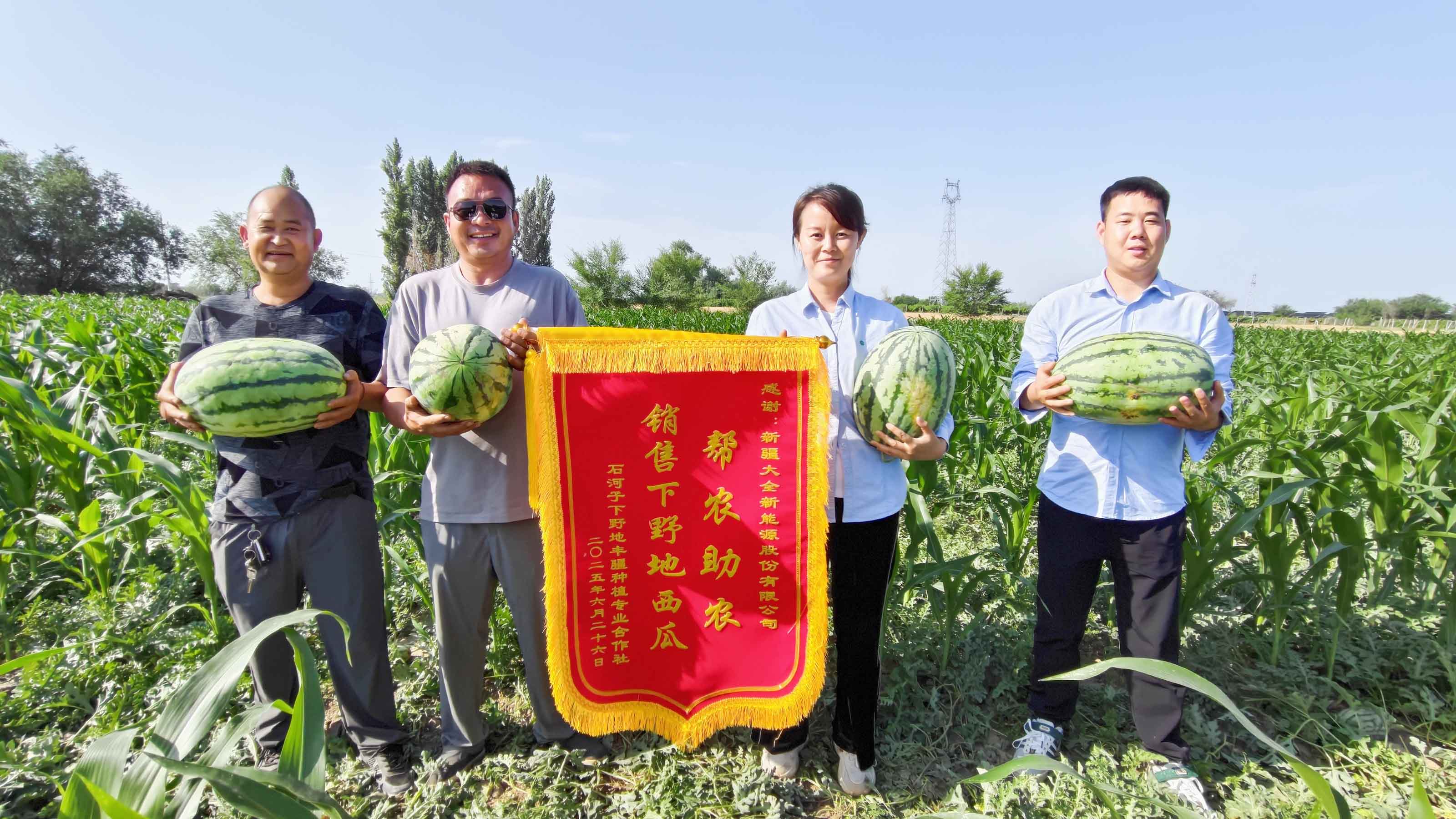 單晶硅，多晶硅